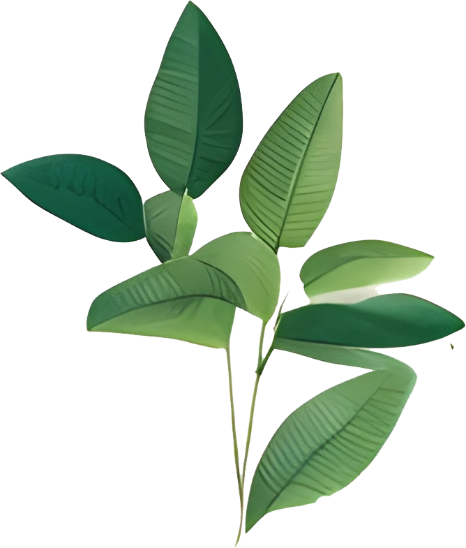 High-Res Leaf PNG Green Foliage Image, Tropical different type exotic leaves set. Jungle plants. Calathea, Monstera and different style of palm leaves_7.webp
